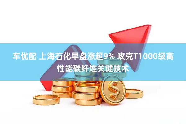 车优配 上海石化早盘涨超9% 攻克T1000级高性能碳纤维关键技术